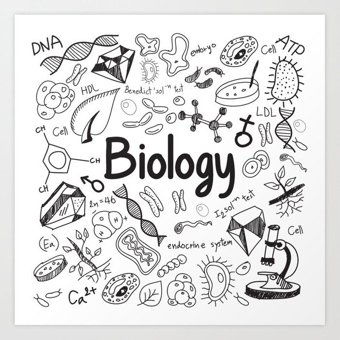 EEE Classes Class 11 BIOLOGY